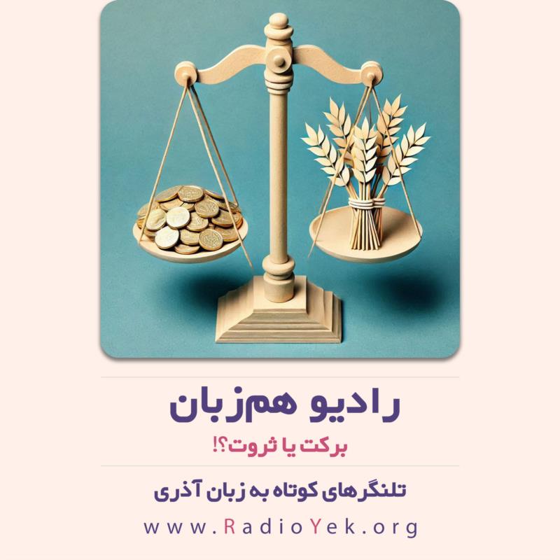 برکت یا ثروت